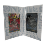 One Piece Day 2025 - Image 2